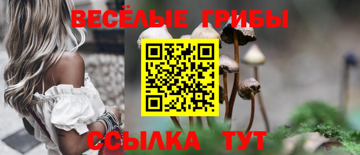 Псилоцибиновые грибы Psilocybe Мегион